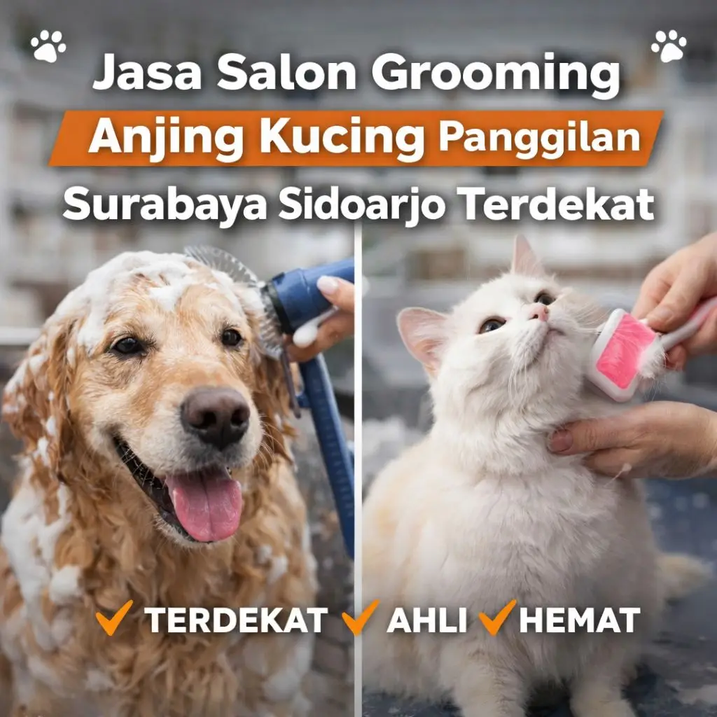 Jasa Salon Grooming Anjing Kucing Panggilan Surabaya Sidoarjo Terdekat 1 Jasa Salon Grooming Anjing Kucing Panggilan Surabaya Sidoarjo Terdekat
