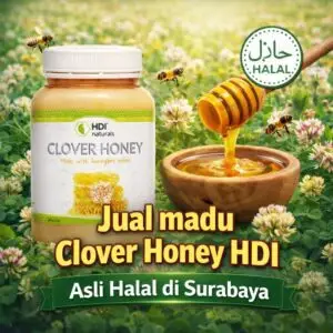 Jual madu Clover Honey HDI Asli Halal di Surabaya