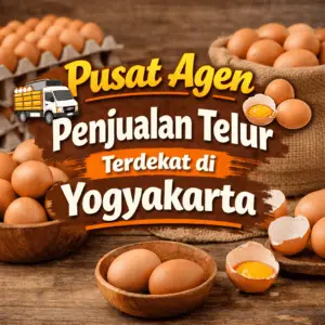 Home 7 pusat agen penjualan telur terdekat di yogyakarta