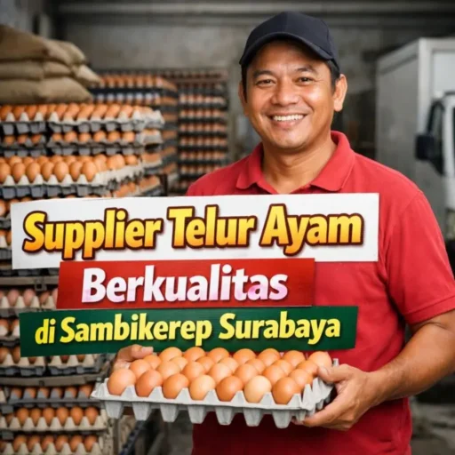 Home 17 supplier telur ayam berkualitas di sambikerep surabaya